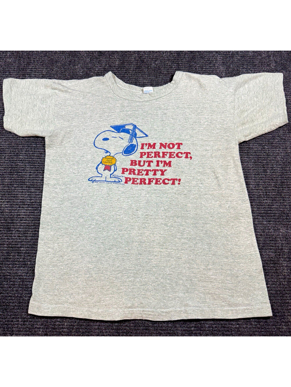 Vintage 1970/80’s Champion 88/12 Peanuts/Snoopy Tee